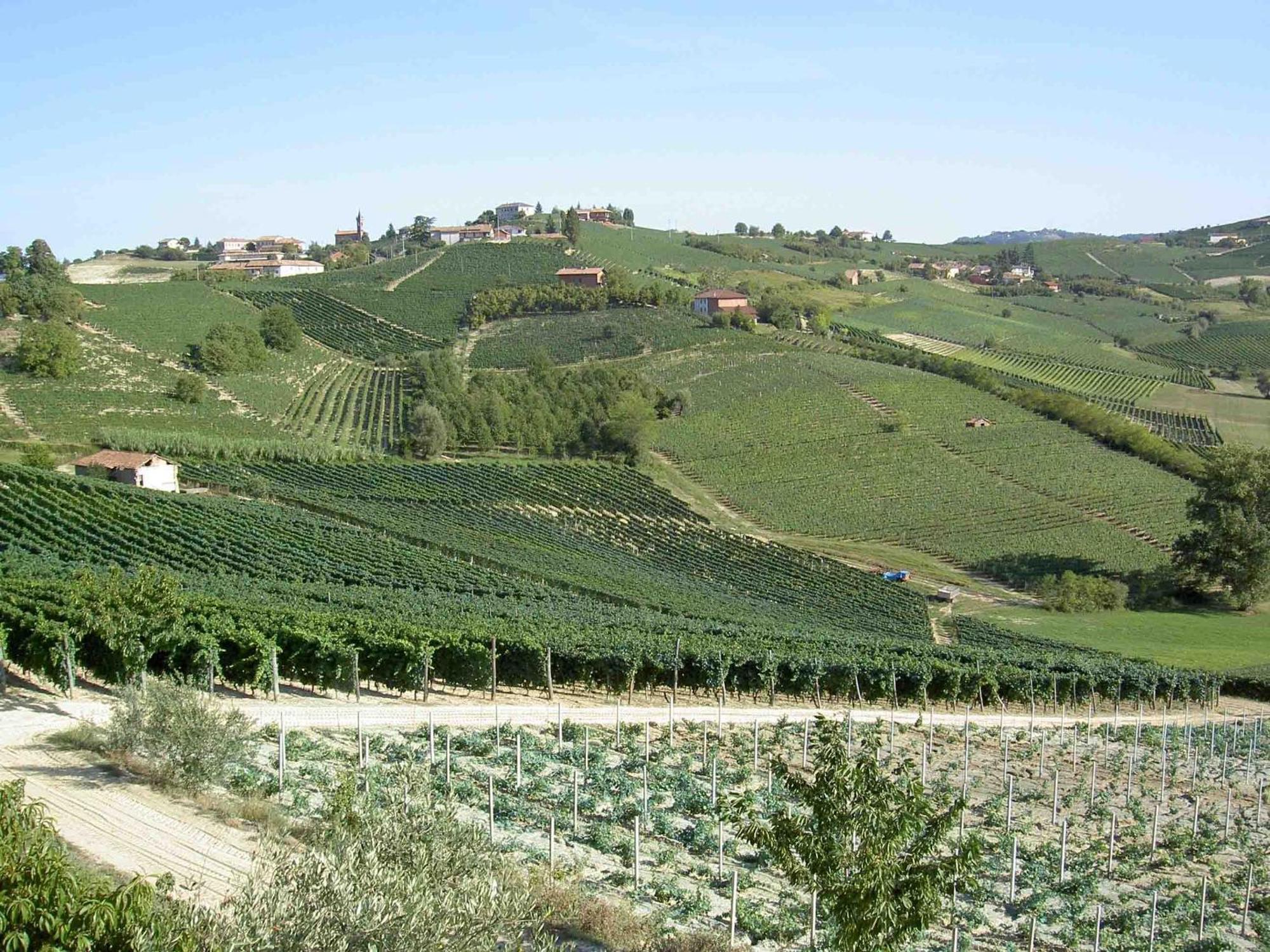 Agriturismo Vecchio Torchio Canelli Ngoại thất bức ảnh
