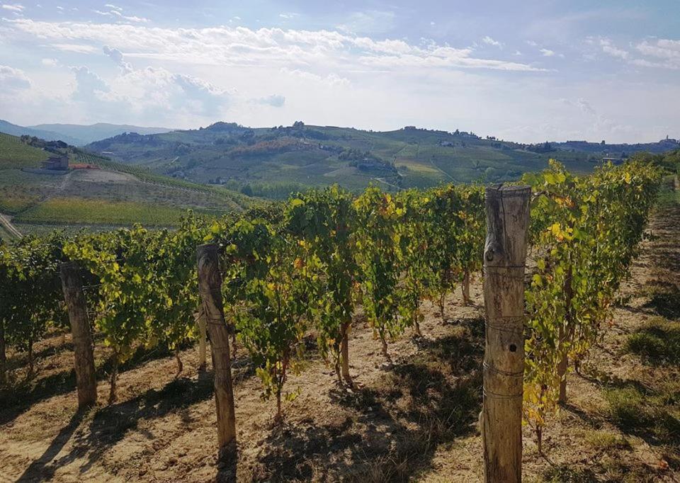 Agriturismo Vecchio Torchio Canelli Ngoại thất bức ảnh
